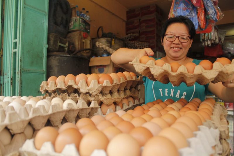 Pedagang telur ayam