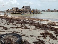 Sampah Laut Ganggu Kenyamanan Wisatawan Pantai Trikora
