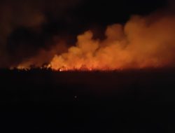 Pemkab Natuna Butuh Bantuan Udara Padamkan Kebakaran Hutan Bekas Kebun Sawit