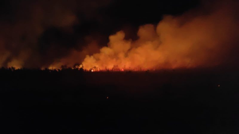 Kebakaran Hutan di Natuna