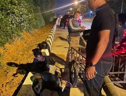 Polisi Tangkap Pencuri Besi Pipa dan Kabel Optik Telkomsel di Batam