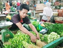 Musim Hujan, Harga Sayuran di Pasaran Tanjungpinang Naik