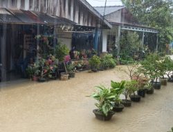 16 Rumah Warga Desa Teluk Sasa Bintan Terdampak Banjir