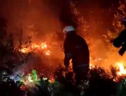 Lahan Seluas 5 Hektate Terbakar di Jalan Nusantara Tanjungpinang