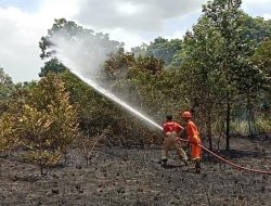 10 Hektare Lahan Terbakar di Kampung Jawa Bintan