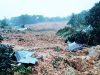 Bencana Longsor di Serasan Natuna, 50 Orang Belum Ditemukan
