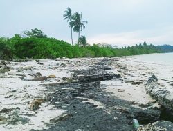 Limbah Minyak Hitam Lagi-Lagi Cemari Kawasan Pantai di Bintan
