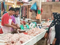 Harga Ayam Potong di Pasar Tanjungpinang Mengalami Kenaikan