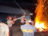 Polisi Tangkap Dua Pelaku Pembakaran Lahan di Bintan
