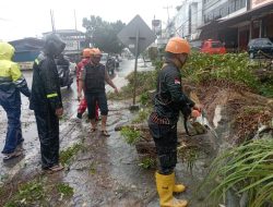 Tanjungpinang Diguyur Hujan Disertai Angin Kencang, Kepala BPBD: Waspada Pohon Tumbang