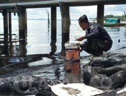 Limbah Hitam Cemari Laut Batam, Nelayan Terganggu dan Merugi