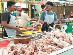 Harga Sejumlah Komoditas Pangan di Pasar Tanjungpinang Alami Kenaikan