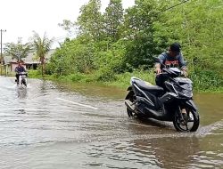 BPBD Ingatkan Waspadai Potensi Banjir Rob kepada Warga Pesisir Bintan