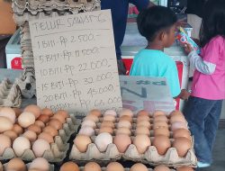 Harga Telur Ayam di Karimun Terus Merangkak Naik, Kini Rp63 Ribu per Papan