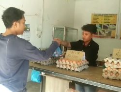 Harga Telur Ayam Tembus Rp56.000 Per Papan di Bintan