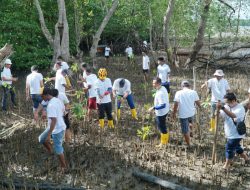 PLN Batam Tanam 500 Mangrove, Upaya Dukung Tercapainya Net Zero Emission