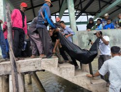 Tiga Hari Hilang Kontak, Nelayan Durai Ditemukan Meninggal Dunia