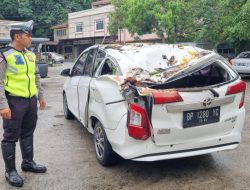 Toyota Calya Putih Ringsek Ditimpa Pohon Akasia di Karimun