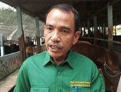 DKPP Pastikan 500 Ekor Sapi Kurban Milik HKTI Batam Legal