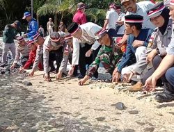 Polsek Bintan Timur Lepasliarkan Puluhan Ekor Tukik ke Laut di Pulau Sentut