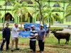 Pelindo Tanjungpinang Salurkan Tiga Sapi Kurban di Pulau Bintan
