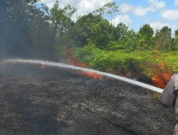 Dua Hektare Lahan di Jalan Raya Busung Bintan Terbakar