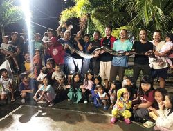 Warga Perumahan Bea dan Cukai Karimun Tangkap Ular Piton 5 Meter