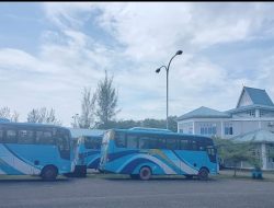 Trayek Bus Damri Pulau Bintan Dialihkan ke Natuna dan Lingga