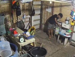 Aksi Maling Bobol Kotak Infak di Warung Santan Terekam CCTV