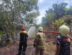 Kepala DPKP Tanjungpinang Catat Sudah 27 Hektare Lahan Terbakar
