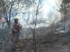Kebakaran Lahan Terjadi di Bintan, Kobaran Api Nyaris ke Permukiman Warga