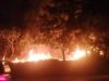 Hari Ini, Dua Kebakaran Lahan Serentak Terjadi di Tanjungpinang