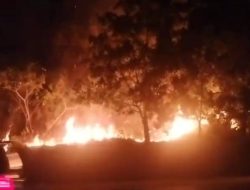 Hari Ini, Dua Kebakaran Lahan Serentak Terjadi di Tanjungpinang