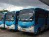 Bus Damri Tanjungpinang-Bintan Stop Operasi, MTI Kepri Harap Kembali Layani Masyarakat