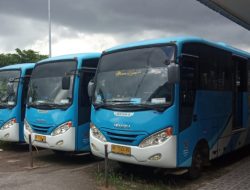 Bus Damri Tanjungpinang-Bintan Stop Operasi, MTI Kepri Harap Kembali Layani Masyarakat