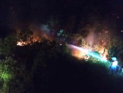 Kebakaran Hutan di Senggarang Tanjungpinang, Api Berasal dari Pembakaran Sampah