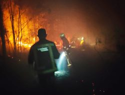 Kebakaran lahan di Wilayah Kota Tanjungpinang Capai 35 Hektare di 15 Titik Lokasi