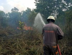 Hari Ini Petugas Damkar Bintan Utara 2 Kali Berjibaku Padamkan Kebakaran Lahan