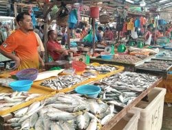 Selain Beras, Harga Ikan Naik Juga di Tanjungpinang