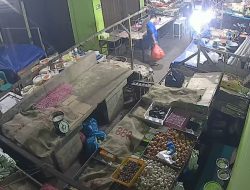 Pencuri Ayam di Barek Motor Kijang Ditangkap di Tanjungpinang