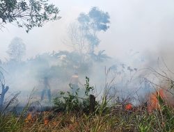 Karhutla di Bintan Meluas, Kebun Pisang Tiga Hektare di Sei Enam Dilalap Api