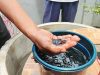Air Sumur Warga yang Mengandung Minyak Masih Diuji DLH Tanjungpinang