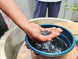 Hasil Uji Lab Sumur Tercemar Keluar, DLH Tanjungpinang: Jenis Minyak Tanah