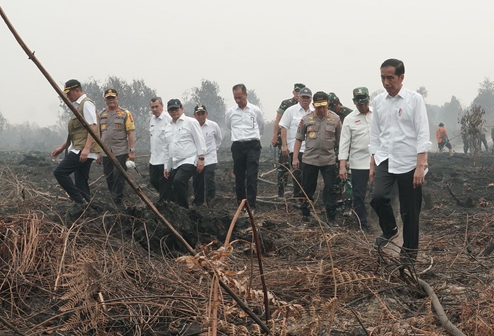 Presiden Jokowi saat meninjau lokasi bekas kebakaran hutan dan lahan di Provinsi Riau tahun 2019 lalu.