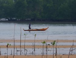 Nelayan Pulau Mubut Mulai Khawatir Akan Rencana Proyek Pabrik Kaca di Rempang