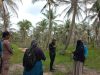 Dispantan Karimun Lakukan Pendampingan Penanganan Serangan Hama di Kebun Kelapa