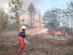 15 Hektare Lahan Dilalap Api di Bintan, Ada Kebun Kelapa Terbakar