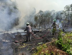 Damkar Bintan Utara Terima Laporan 4 Lokasi Lahan Terbakar