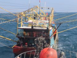 KKP Tangkap 7 Kapal Perikanan, 15 Ton Ikan Campur Turut Diamankan