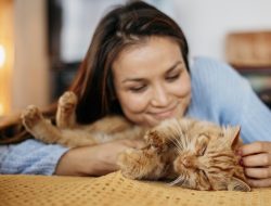 Kutu Kucing dan Dampaknya pada Kulit Manusia: Berikut Ciri-Ciri dan Pencegahan